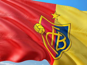 开云体育入口-瑞士绝杀中国，卡塞米罗惊艳世界：一场震撼全球的足球盛宴